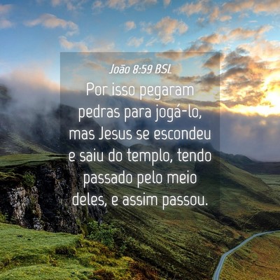 Picture 04 - João 8:59 BSL - Por isso pegaram pedras para jogá-lo, mas Jesus - Bible Verse Picture