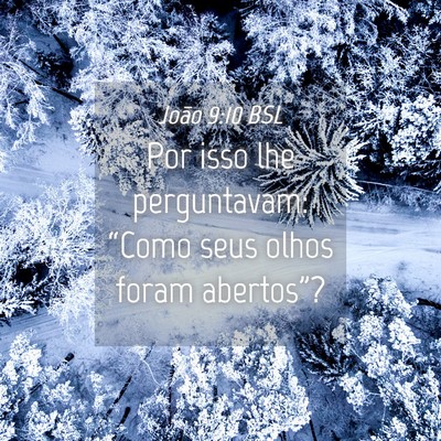 Picture 04 - João 9:10 BSL - Por isso lhe perguntavam: “Como seus olhos - Bible Verse Picture