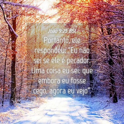 Picture 04 - João 9:25 BSL - Portanto, ele respondeu: “Eu não sei se ele é - Bible Verse Picture