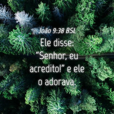 Picture 04 - João 9:38 BSL - Ele disse: “Senhor, eu acredito!” e ele o - Bible Verse Picture