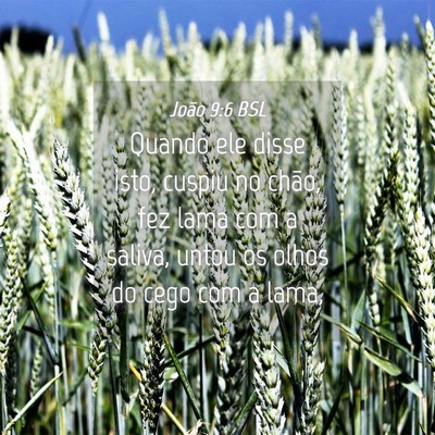 Picture 04 - João 9:6 BSL - Quando ele disse isto, cuspiu no chão, fez lama - Bible Verse Picture