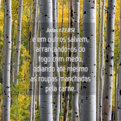 Picture 04 - Judas 1:23 BSL - e em outros salvem, arrancando-os do fogo com - Bible Verse Picture