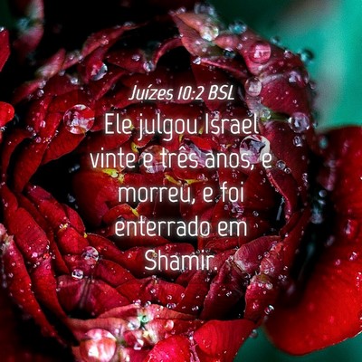 Picture 04 - Juízes 10:2 BSL - Ele julgou Israel vinte e três anos, e morreu, e - Bible Verse Picture