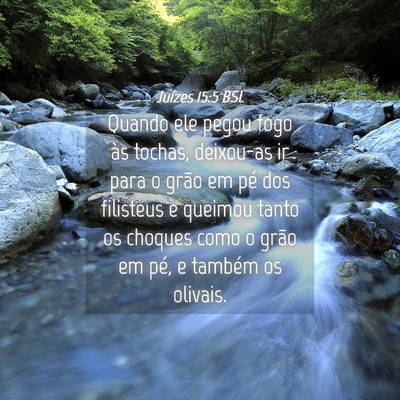 Picture 04 - Juízes 15:5 BSL - Quando ele pegou fogo às tochas, deixou-as ir - Bible Verse Picture
