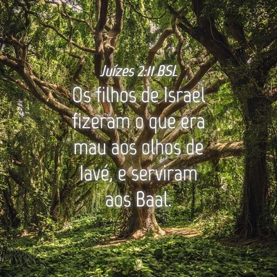 Picture 04 - Juízes 2:11 BSL - Os filhos de Israel fizeram o que era mau aos - Bible Verse Picture