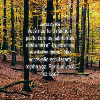 Picture 04 - Juízes 2:2 BSL - Você não fará nenhum pacto com os habitantes - Bible Verse Picture