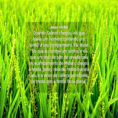 Picture 04 - Juízes 7:13 BSL - Quando Gideon chegou, eis que havia um homem - Bible Verse Picture