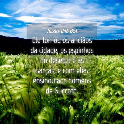 Picture 04 - Juízes 8:16 BSL - Ele tomou os anciãos da cidade, os espinhos do - Bible Verse Picture