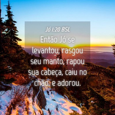 Picture 04 - Jó 1:20 BSL - Então Jó se levantou, rasgou seu manto, rapou - Bible Verse Picture