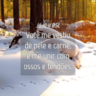 Picture 04 - Jó 10:11 BSL - Você me vestiu de pele e carne, e me unir com - Bible Verse Picture