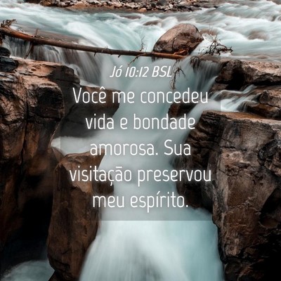 Picture 04 - Jó 10:12 BSL - Você me concedeu vida e bondade amorosa. Sua - Bible Verse Picture