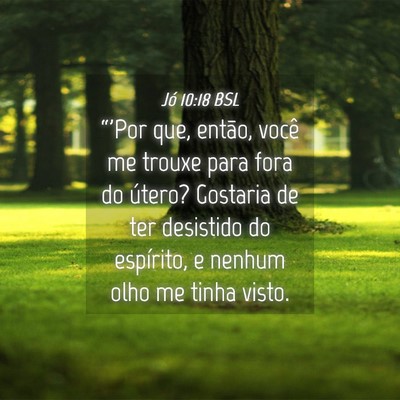 Picture 04 - Jó 10:18 BSL - “'Por que, então, você me trouxe para fora do - Bible Verse Picture