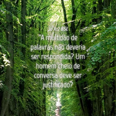 Picture 04 - Jó 11:2 BSL - “A multidão de palavras não deveria ser - Bible Verse Picture