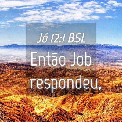 Picture 04 - Jó 12:1 BSL - Então Job - Bible Verse Picture