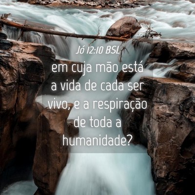 Picture 04 - Jó 12:10 BSL - em cuja mão está a vida de cada ser vivo, e a - Bible Verse Picture