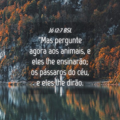 Picture 04 - Jó 12:7 BSL - “Mas pergunte agora aos animais, e eles lhe - Bible Verse Picture