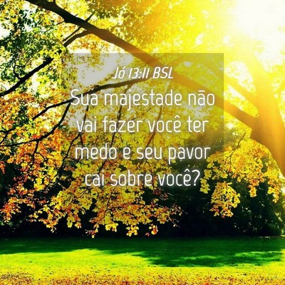 Picture 04 - Jó 13:11 BSL - Sua majestade não vai fazer você ter medo e seu - Bible Verse Picture