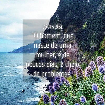 Picture 04 - Jó 14:1 BSL - “O homem, que nasce de uma mulher, é de poucos - Bible Verse Picture