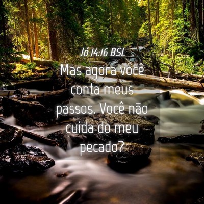 Picture 04 - Jó 14:16 BSL - Mas agora você conta meus passos. Você não - Bible Verse Picture