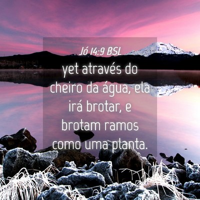Picture 04 - Jó 14:9 BSL - yet através do cheiro da água, ela irá brotar, - Bible Verse Picture