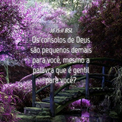 Picture 04 - Jó 15:11 BSL - Os consolos de Deus são pequenos demais para - Bible Verse Picture