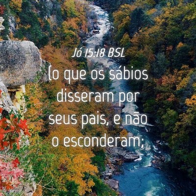 Picture 04 - Jó 15:18 BSL - (o que os sábios disseram por seus pais, e não - Bible Verse Picture