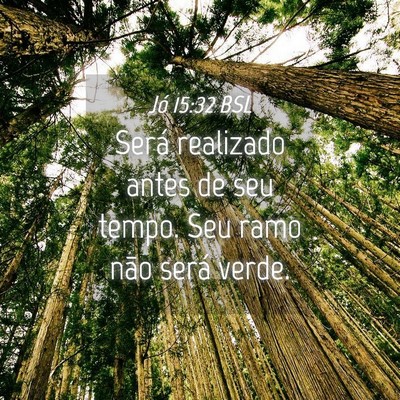 Picture 04 - Jó 15:32 BSL - Será realizado antes de seu tempo. Seu ramo não - Bible Verse Picture