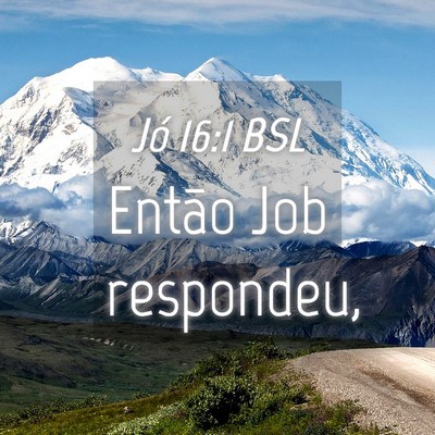 Picture 04 - Jó 16:1 BSL - Então Job - Bible Verse Picture