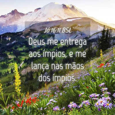 Picture 04 - Jó 16:11 BSL - Deus me entrega aos ímpios, e me lança nas - Bible Verse Picture