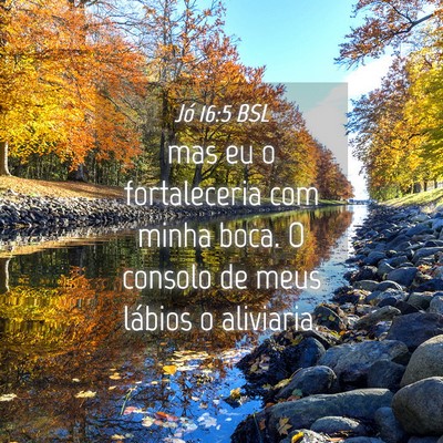 Picture 04 - Jó 16:5 BSL - mas eu o fortaleceria com minha boca. O consolo - Bible Verse Picture