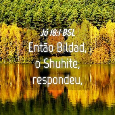 Picture 04 - Jó 18:1 BSL - Então Bildad, o Shuhite, - Bible Verse Picture