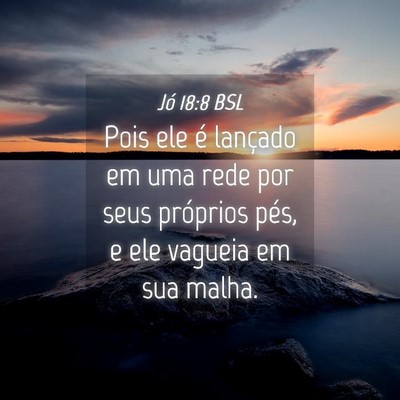 Picture 04 - Jó 18:8 BSL - Pois ele é lançado em uma rede por seus - Bible Verse Picture