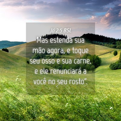 Picture 04 - Jó 2:5 BSL - Mas estenda sua mão agora, e toque seu osso e - Bible Verse Picture
