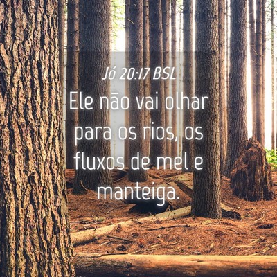 Picture 04 - Jó 20:17 BSL - Ele não vai olhar para os rios, os fluxos de mel - Bible Verse Picture