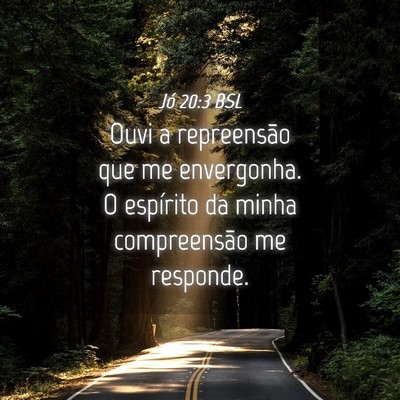 Picture 04 - Jó 20:3 BSL - Ouvi a repreensão que me envergonha. O espírito - Bible Verse Picture