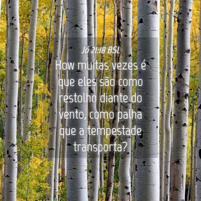 Picture 04 - Jó 21:18 BSL - How muitas vezes é que eles são como restolho - Bible Verse Picture