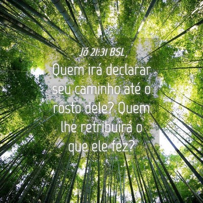 Picture 04 - Jó 21:31 BSL - Quem irá declarar seu caminho até o rosto dele? - Bible Verse Picture