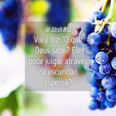 Picture 04 - Jó 22:13 BSL - Você diz: 'O que Deus sabe? Ele pode julgar - Bible Verse Picture