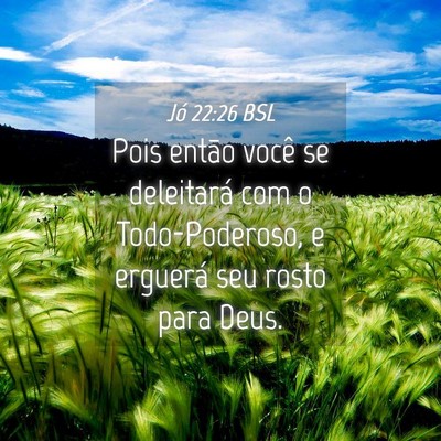 Picture 04 - Jó 22:26 BSL - Pois então você se deleitará com o - Bible Verse Picture