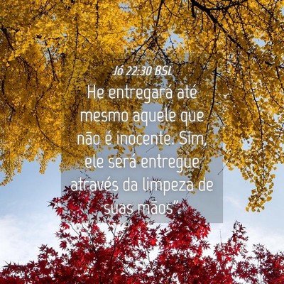 Picture 04 - Jó 22:30 BSL - He entregará até mesmo aquele que não é - Bible Verse Picture