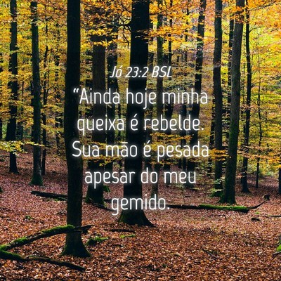 Picture 04 - Jó 23:2 BSL - “Ainda hoje minha queixa é rebelde. Sua mão - Bible Verse Picture