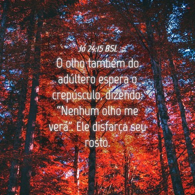Picture 04 - Jó 24:15 BSL - O olho também do adúltero espera o crepúsculo, - Bible Verse Picture