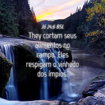 Picture 04 - Jó 24:6 BSL - They cortam seus alimentos no campo. Eles - Bible Verse Picture