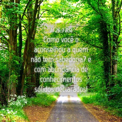 Picture 04 - Jó 26:3 BSL - Como você o aconselhou a quem não tem - Bible Verse Picture