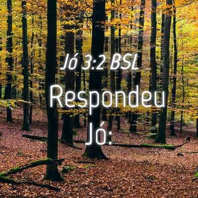 Picture 04 - Jó 3:2 BSL - Respondeu - Bible Verse Picture