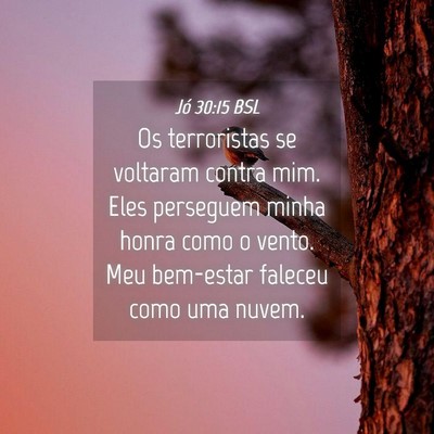 Picture 04 - Jó 30:15 BSL - Os terroristas se voltaram contra mim. Eles - Bible Verse Picture