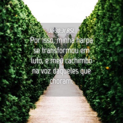 Picture 04 - Jó 30:31 BSL - Por isso, minha harpa se transformou em luto, e - Bible Verse Picture