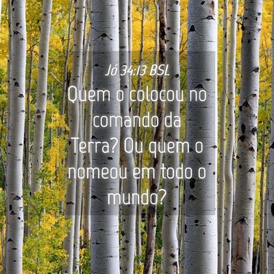 Picture 04 - Jó 34:13 BSL - Quem o colocou no comando da Terra? Ou quem o - Bible Verse Picture