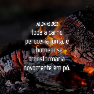 Picture 04 - Jó 34:15 BSL - toda a carne pereceria junta, e o homem se - Bible Verse Picture
