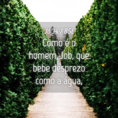 Picture 04 - Jó 34:7 BSL - Como é o homem, Job, que bebe desprezo como a - Bible Verse Picture